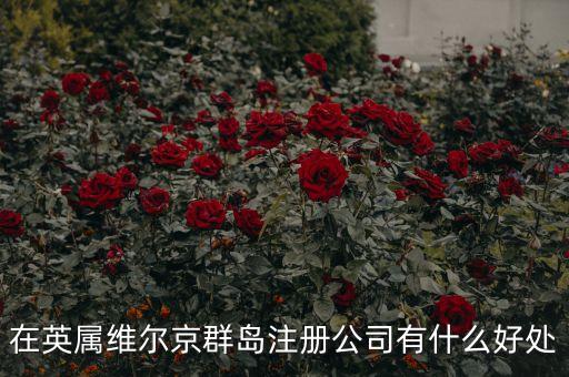 在英屬維爾京群島設(shè)立子公司有什么好處，設(shè)立子公司的好處有哪些