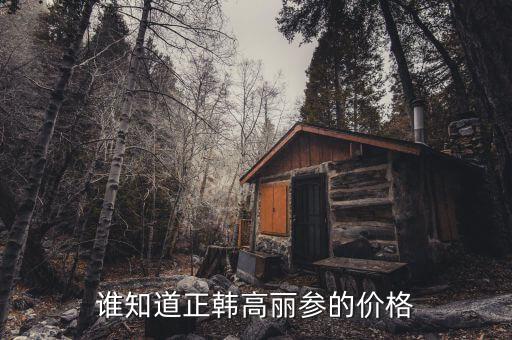 韓國(guó)旅游買高麗參是什么價(jià)格，到韓國(guó)旅游區(qū)哪兒能買到價(jià)格合理的高麗參