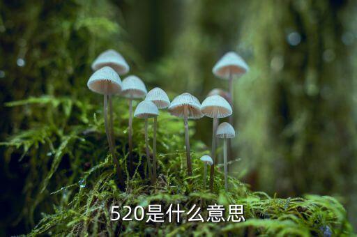 什么是1浪5，江恩數(shù)浪法則如何劃分五浪