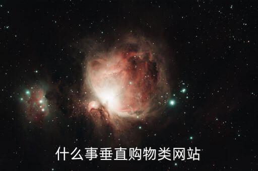 什么是垂直商城，o2o垂直商城是什么