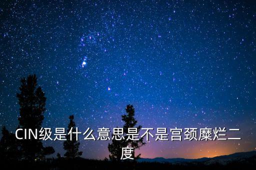 海泰宮靖是什么級別，CIN級是什么意思是不是宮頸糜爛二度