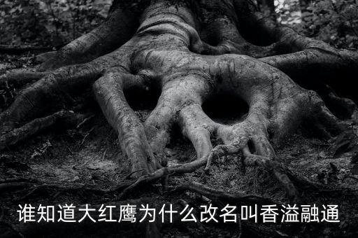 為什么買香溢融通，買當(dāng)代歌壇看到一個(gè)被稱為實(shí)偶派的歌手 饒威求科普