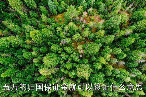 什么是歸國(guó)保證金，五萬(wàn)的歸國(guó)保證金就可以簽證什么意思
