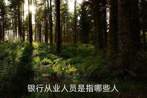 銀行從業(yè)人員是什么，我在銀行從業(yè)資格證里面看到一個銀行從業(yè)人員和銀行非從業(yè)人員