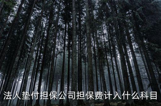 什么是法人墊款，法人代墊款的分錄需有什么附件嗎