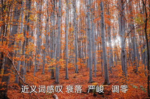 調(diào)零的近義詞是什么，近義詞感嘆 衰落  嚴(yán)峻   調(diào)零