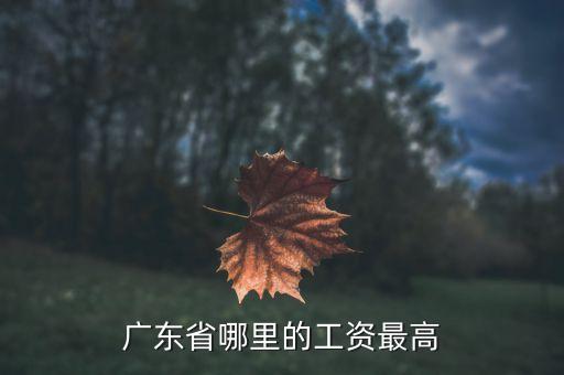 廣東工資最高什么地方，廣東什么地方打工工資最高