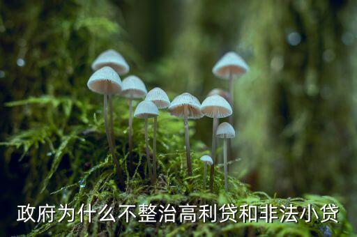 為什么國(guó)家不治理非法放貸，為什么不允許放高利貸