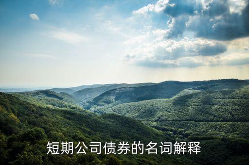 什么叫銀行短期債券，我國銀行的短期借入債市場是什么呢謝謝回答