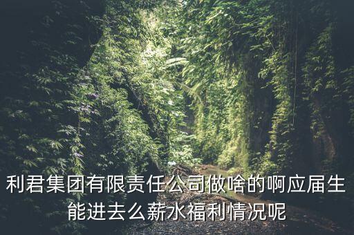 利君集團有限責任公司做啥的啊應(yīng)屆生能進去么薪水福利情況呢