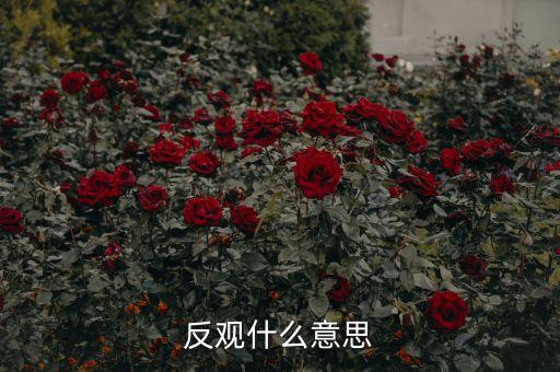 反觀當(dāng)下是什么意思，求英語(yǔ)大神翻譯反觀當(dāng)下