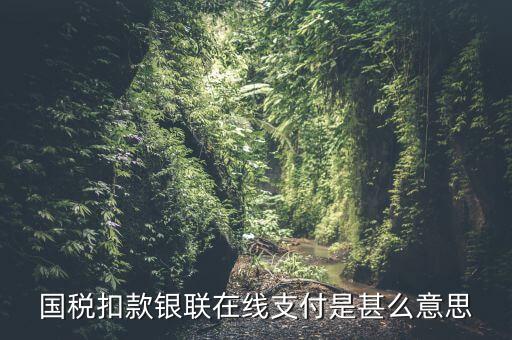 銀聯(lián)劃扣跟連連支付有什么區(qū)別，國稅扣款銀聯(lián)在線支付是甚么意思