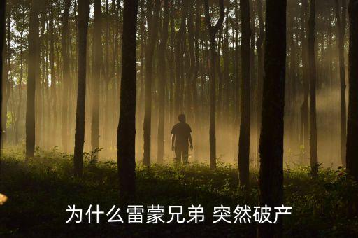 雷曼兄弟為什么破產(chǎn)，雷曼兄弟是因?yàn)槭裁炊飘a(chǎn)的