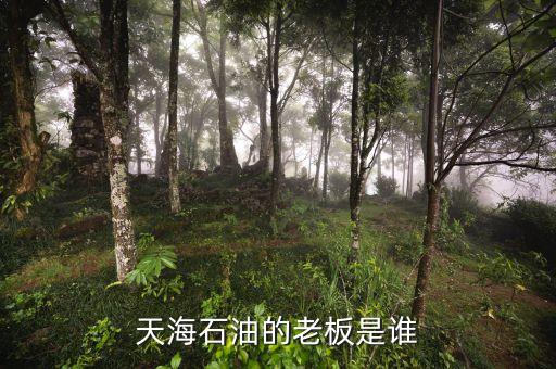 天海收購英邁什么時間，信用卡能不能申請延遲2天?？?/></a></span><span id=
