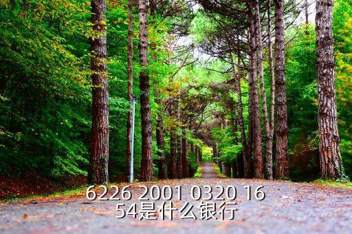 625166是什么銀行，6226 2001 0320 1654是什么銀行