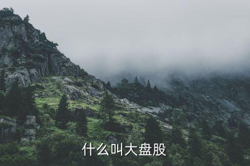 大盤股是什么意思，什么是大盤股