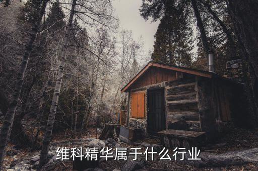 維科精華是做什么的，維科精華行業(yè)問題