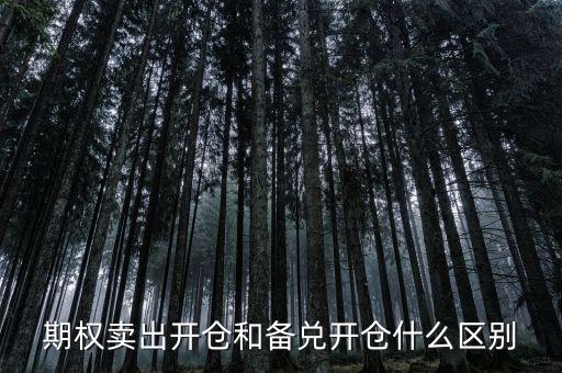 個(gè)股期權(quán)賣出開倉什么意思，賣出開倉是咋意思