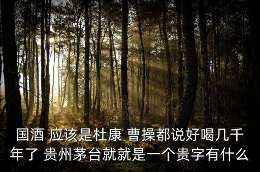 為什么不拿杜康當(dāng)國酒，為什么杜康酒沒有成為中國十大名酒之一