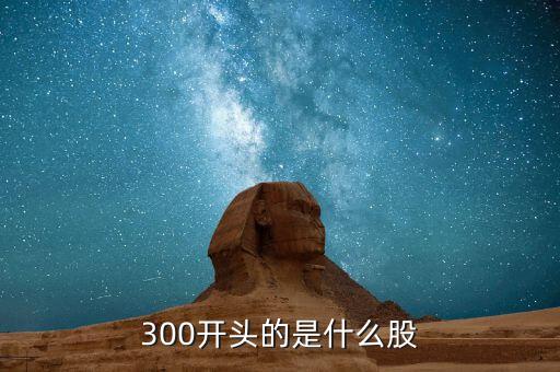 300的股票是什么股票，300開(kāi)頭的股票代碼屬于什么股