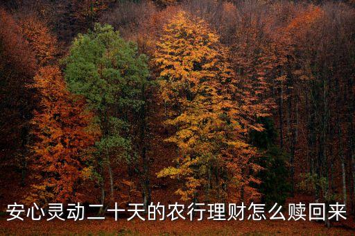 安心靈動(dòng)20天什么時(shí)候可以贖回，安心靈動(dòng)二十天的農(nóng)行理財(cái)怎么贖回來(lái)