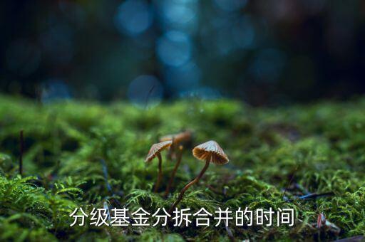 基金什么時(shí)候拆分，基金一般在什么時(shí)候拆分或分紅