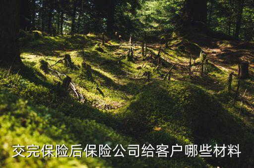 交完車險(xiǎn)都給什么東西，交完保險(xiǎn)后保險(xiǎn)公司給客戶哪些材料