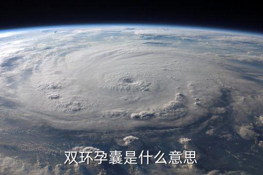 雙環(huán)控制是什么，b超里面的雙環(huán)征明顯是雙環(huán)征是什么意思