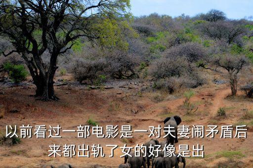 候永財執(zhí)導(dǎo)過什么電影，以前看過一部電影是一對夫妻鬧矛盾后來都出軌了女的好像是出