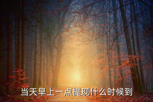 海納幣什么時(shí)候提現(xiàn)，你們那里說什么時(shí)候可以提現(xiàn)嗎