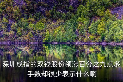 雙錢股份是什么公司，深圳成指的雙錢股份領(lǐng)漲百分之九點多 手數(shù)卻很少表示什么啊