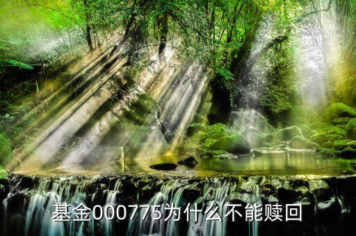天弘瑞利什么時候開放，天弘瑞利分級債券a贖回后什么時候到賬戶