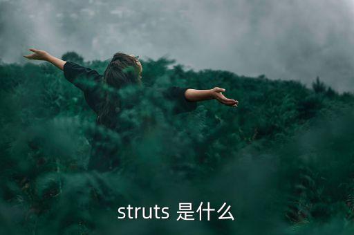 什么是中植系，struts 是什么
