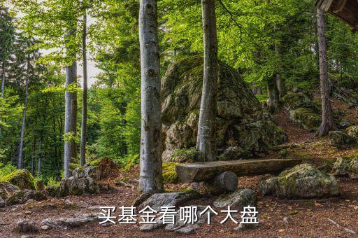 基金看什么大盤走勢，買基金看哪個(gè)大盤