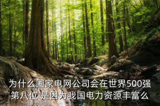 為什么國家電網(wǎng)公司會在世界500強(qiáng)第八位 是因?yàn)槲覈娏Y源豐富么