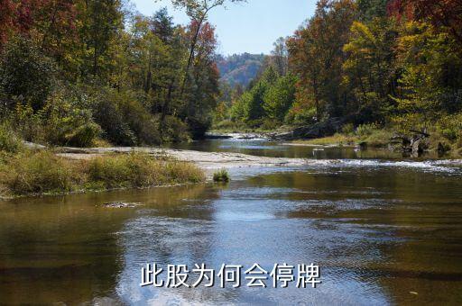 中瑞思創(chuàng)為什么停牌，停牌的原因是什么