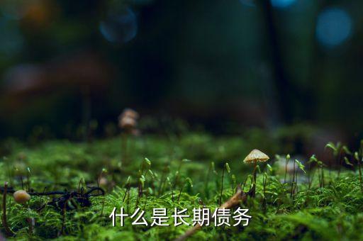 久債勾是做什么的，久債勾和四川九寨溝有什么關系
