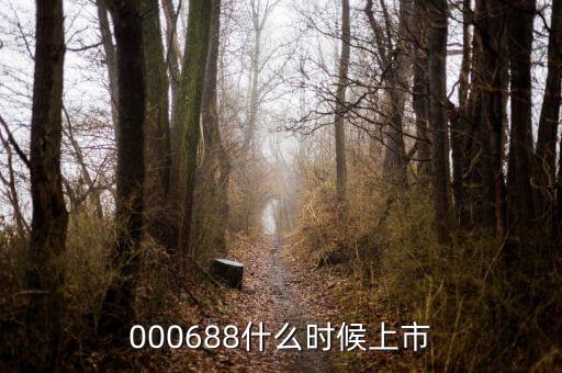 鼎盛財(cái)富什么時(shí)候上市，000688什么時(shí)候上市