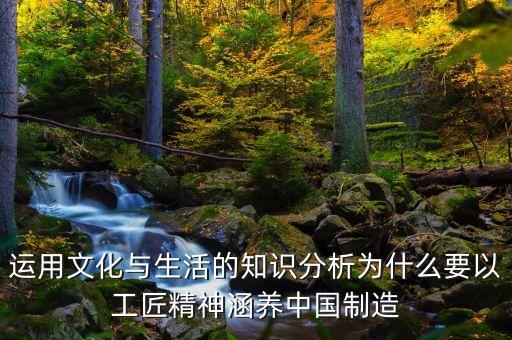 為什么要發(fā)揚(yáng)工匠精神，運(yùn)用文化生活的知識(shí)說明為什么弘揚(yáng)工匠精
