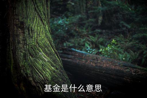 一張圖看懂什么是基金，什么是基金