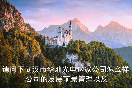 300323華燦光電是干什么的，蘇州華燦光電工作是流水線嗎