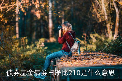 基金中的占凈比什么意思，債券基金債券占凈比210是什么意思
