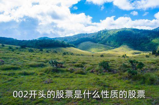 002打頭的股票代表什么，股票002開頭的是什么意思
