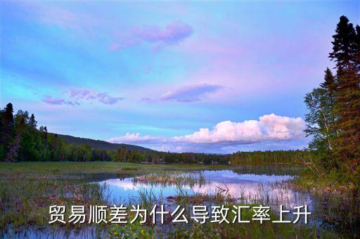 貿易順差為什么導致匯率上升