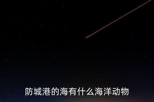 什么是沿邊金融，防城港的海有什么海洋動物
