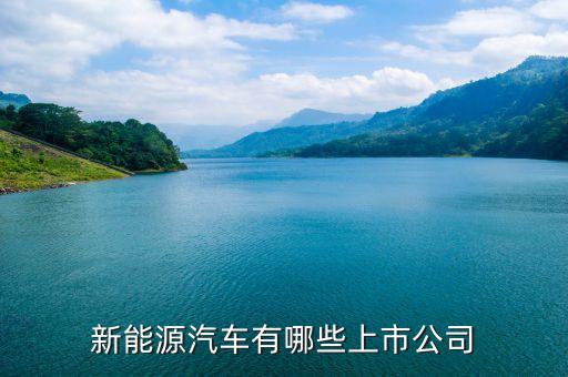 上汽集團什么時候上市，上汽集團股票的發(fā)行價格是多少