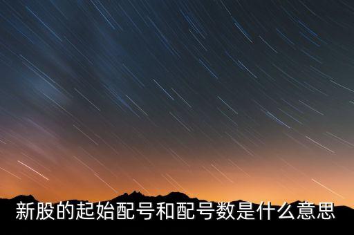 新股申購(gòu)起始配號(hào)是什么意思，新股起始配號(hào)是什么意思配號(hào)21是什么意思