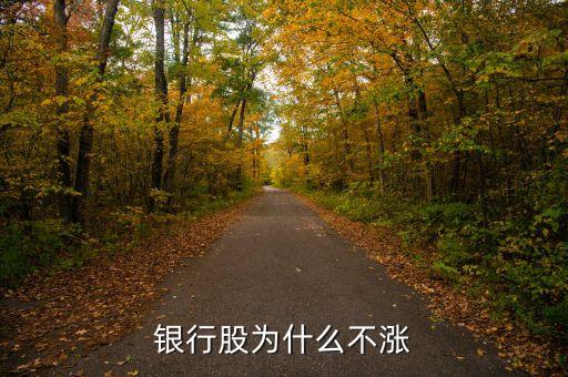 牛市為什么銀行股不漲，我來告訴你銀行股為什么不漲