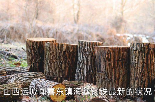 海鑫什么時(shí)候破產(chǎn)，山西運(yùn)城聞喜東鎮(zhèn)海鑫鋼鐵最新的狀況