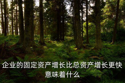 固定資產增長說明什么，流動資產固定資產長期投資都增加從公司資產規(guī)模及變動趨勢